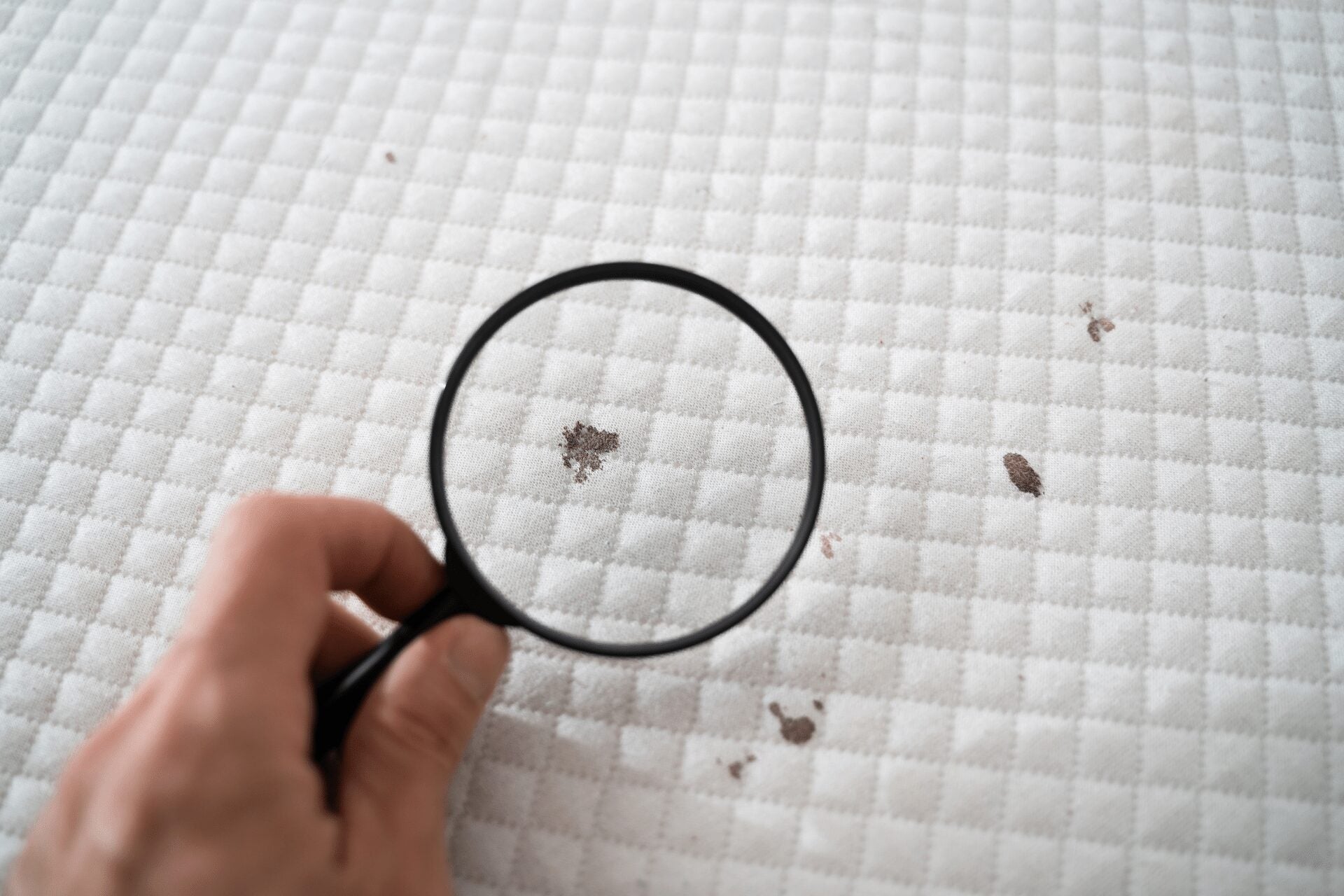 how-to-clean-mattress-stains