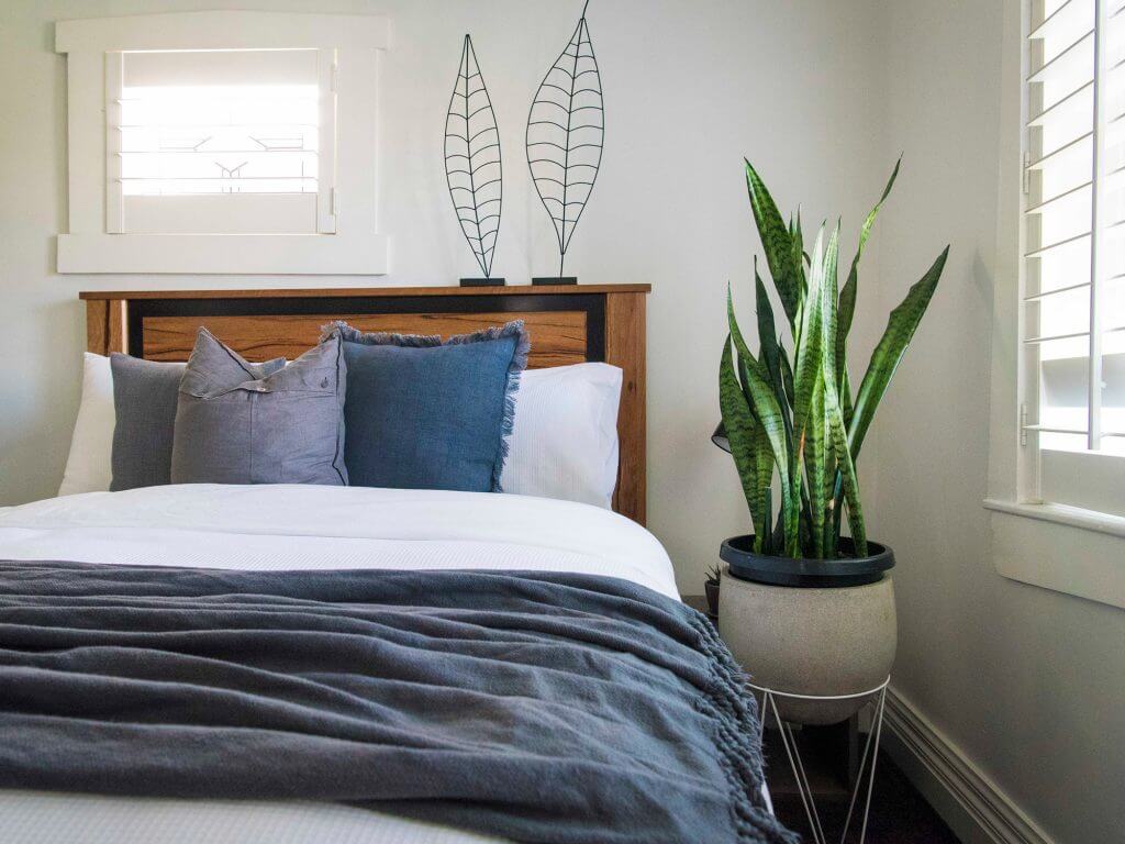 10 Plants You Should Bring to Your Bedroom